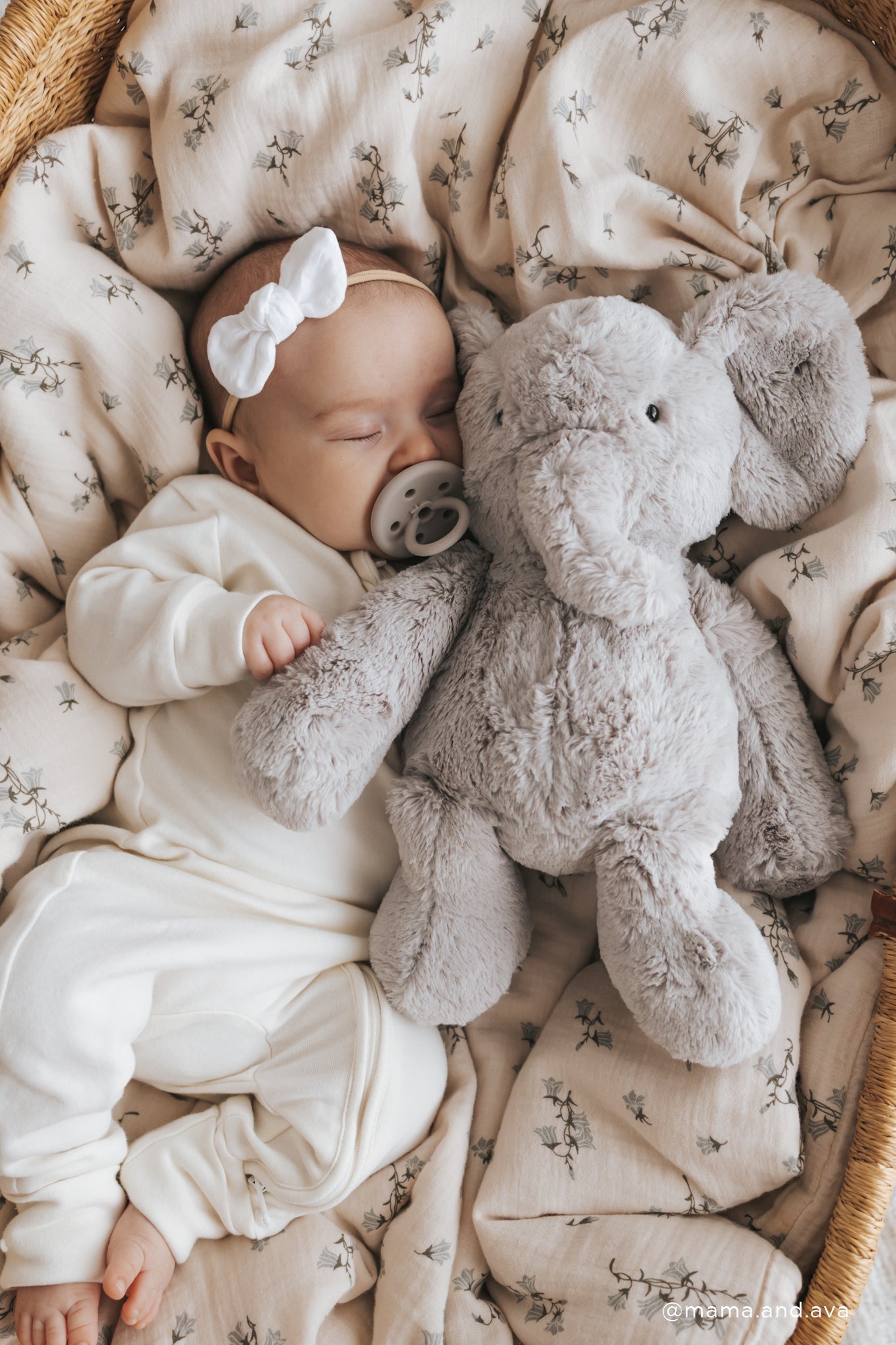 Olive The Elephant