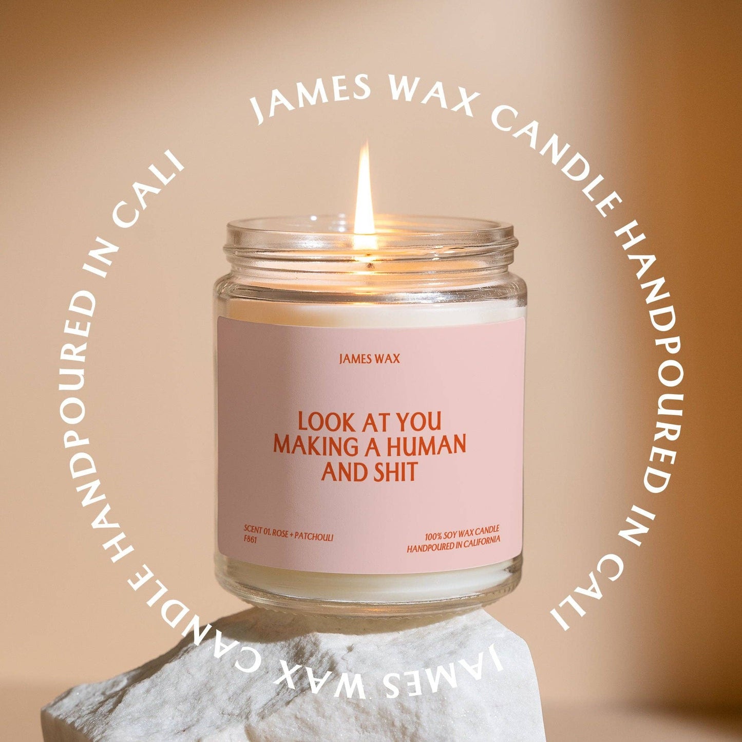 Look At You Making A Human And Shit Candle