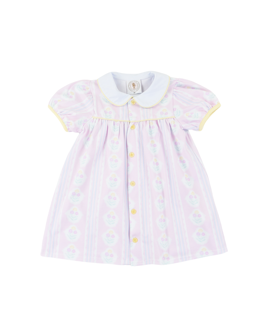 Fancy Frolic Paisley Proper Dress