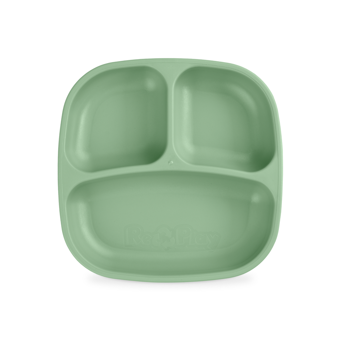 Divided Plate