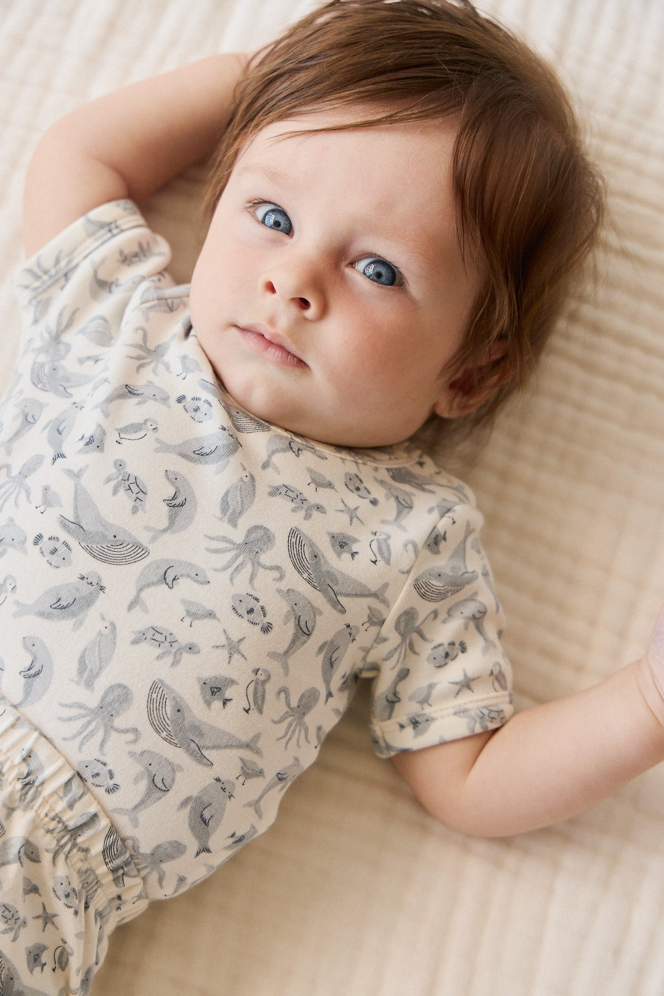 Organic Cotton Hudson Short Sleeve- Sea Life