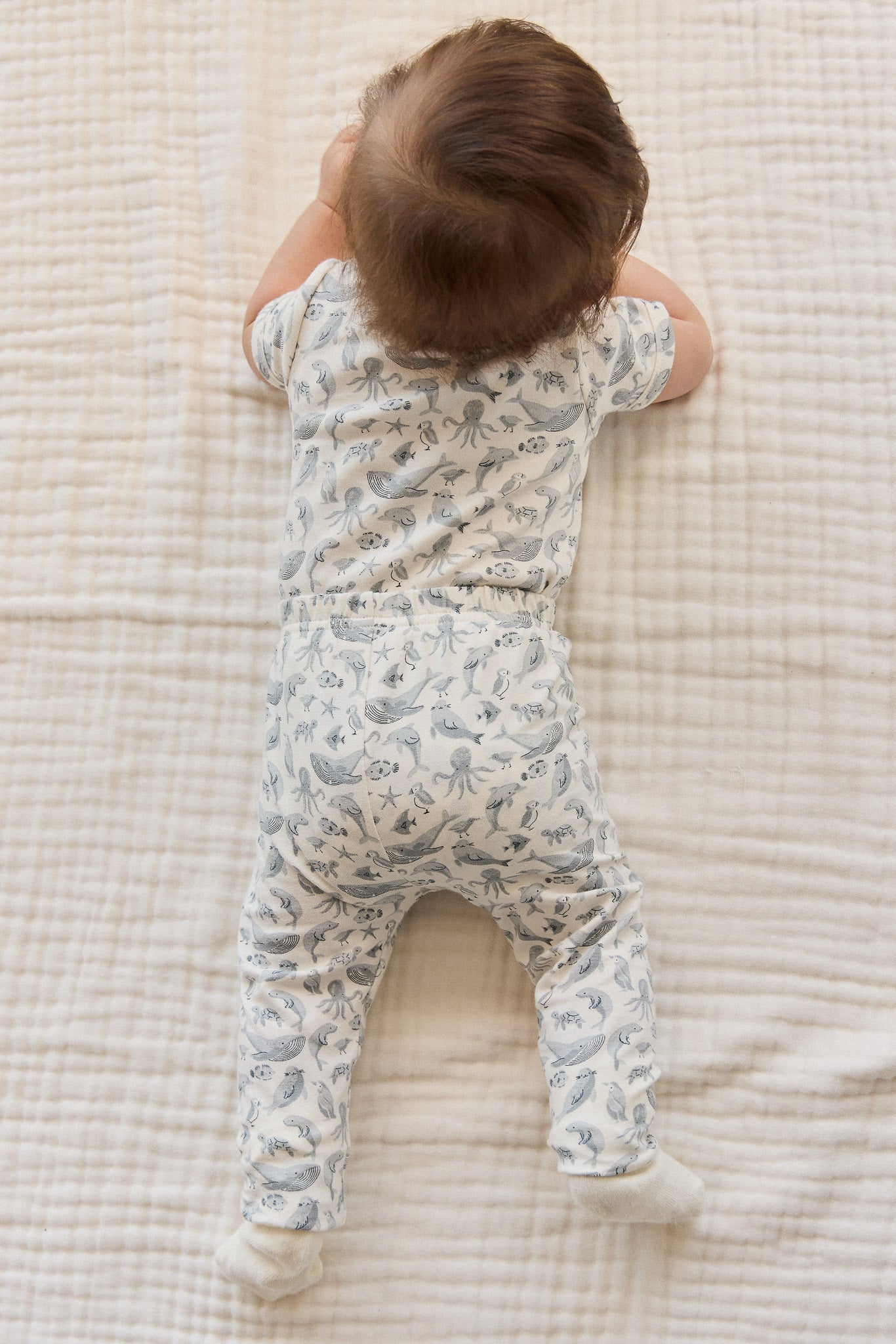 Organic Cotton Everyday Legging - Sea Life