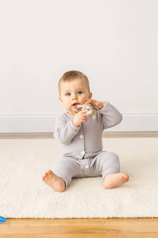Puppy Ritzy Teether Baby Molar Teether