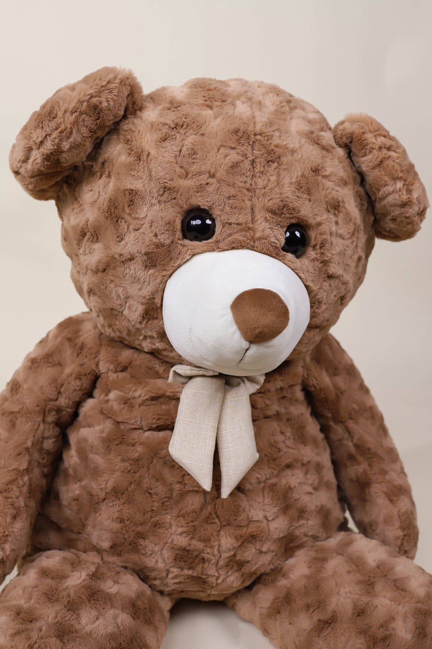 Medium Bear Plush Toy