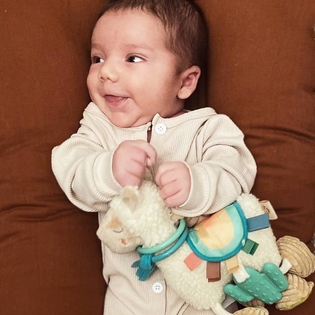 Itzy Friends Link & Love Activity Plush with Teether Toy