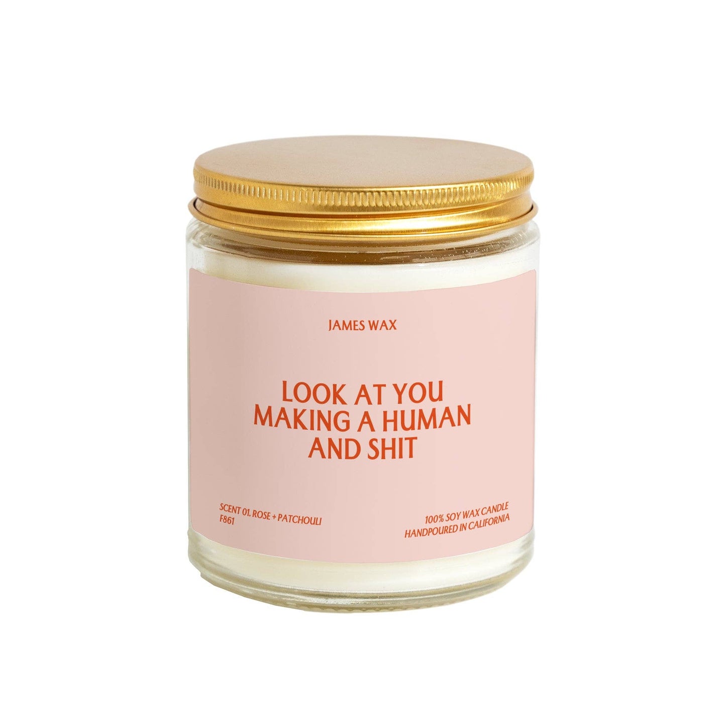 Look At You Making A Human And Shit Candle