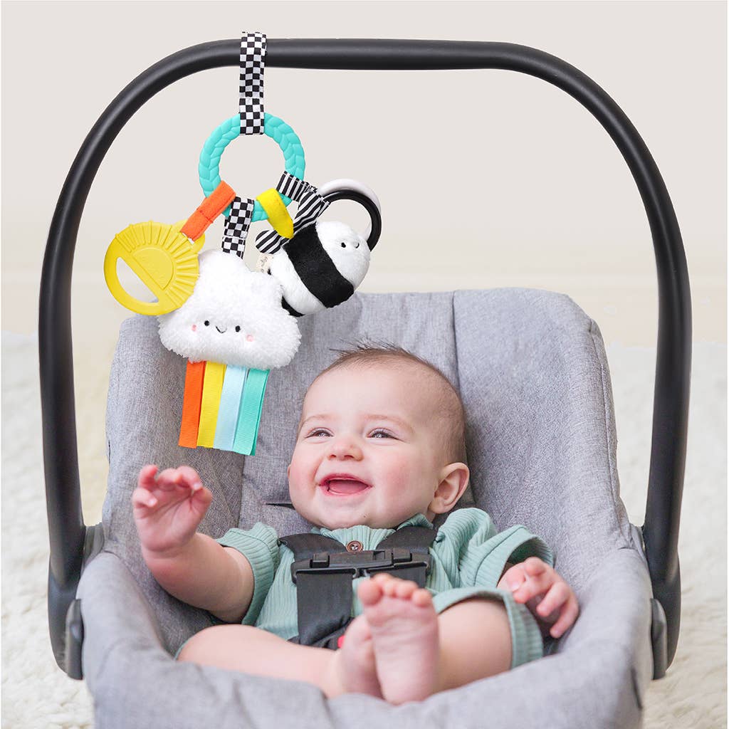 Bitzy Busy Ring Teething Activity Toy