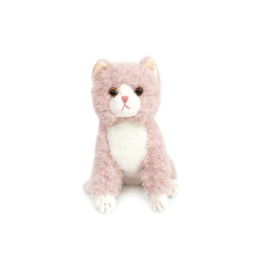 Cleo the Kitty