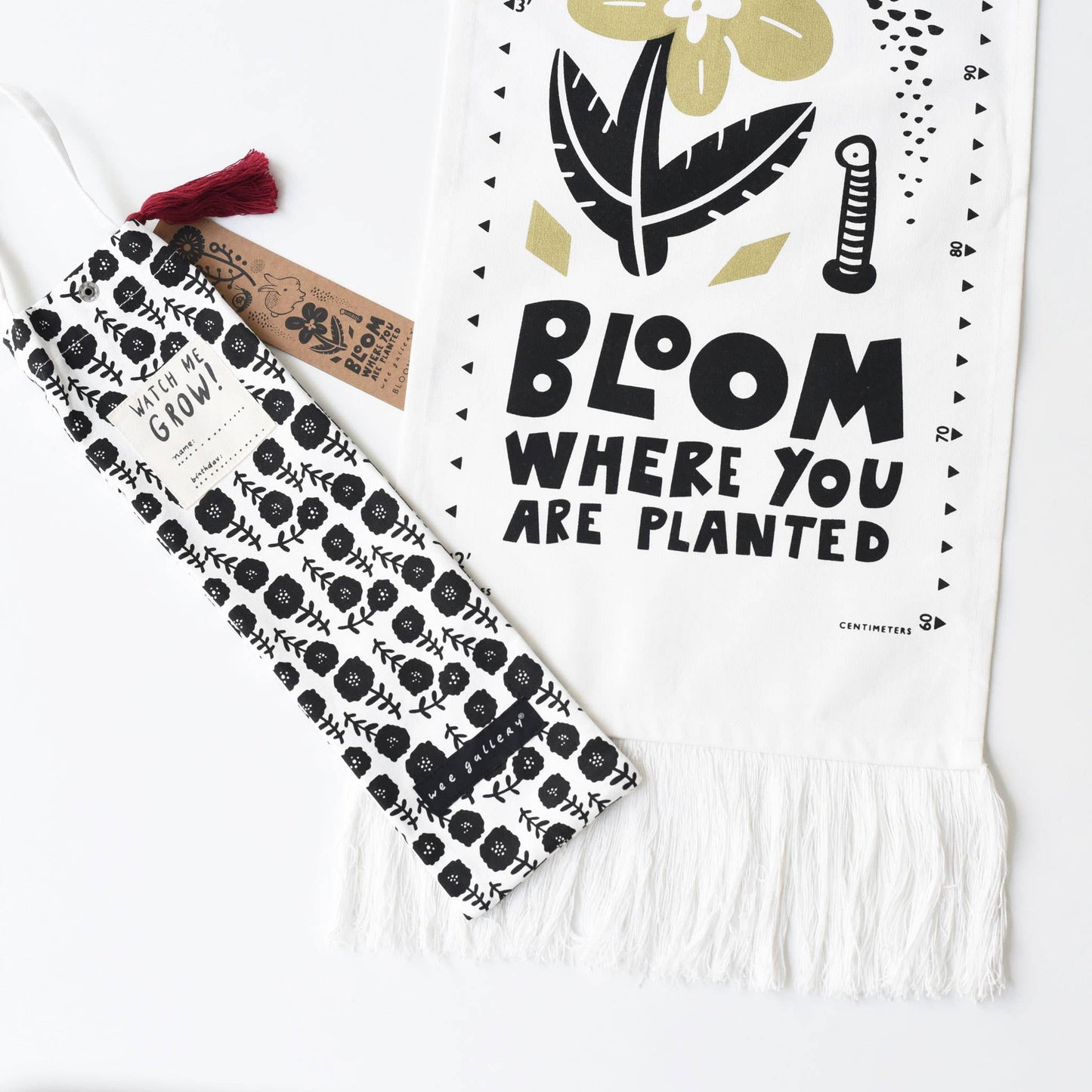 Bloom Canvas Growth Chart