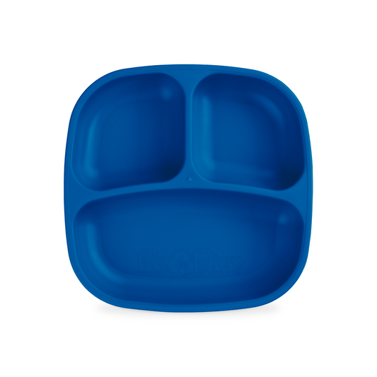Divided Plate