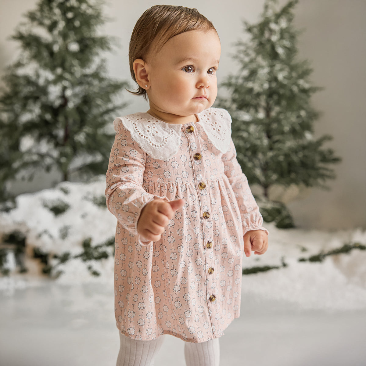 Winter Blooms Brushed Twill Dress Set