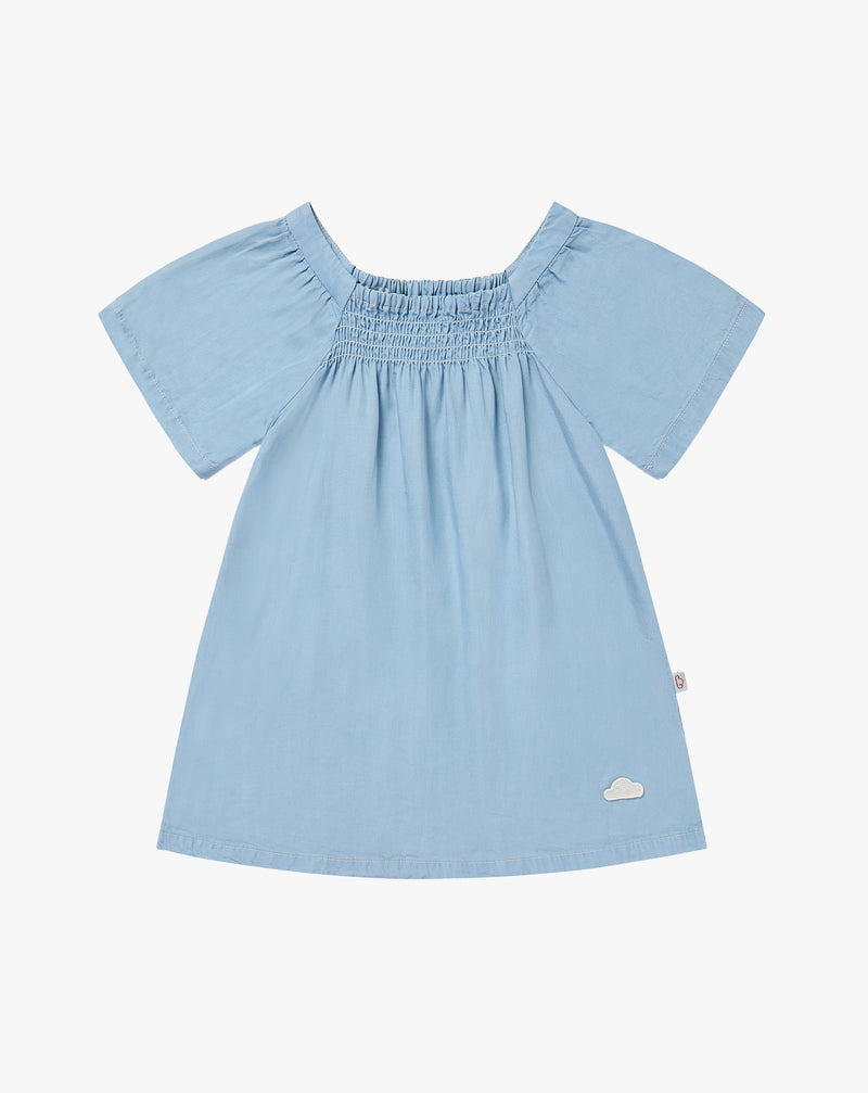 Chambray Denim Dress